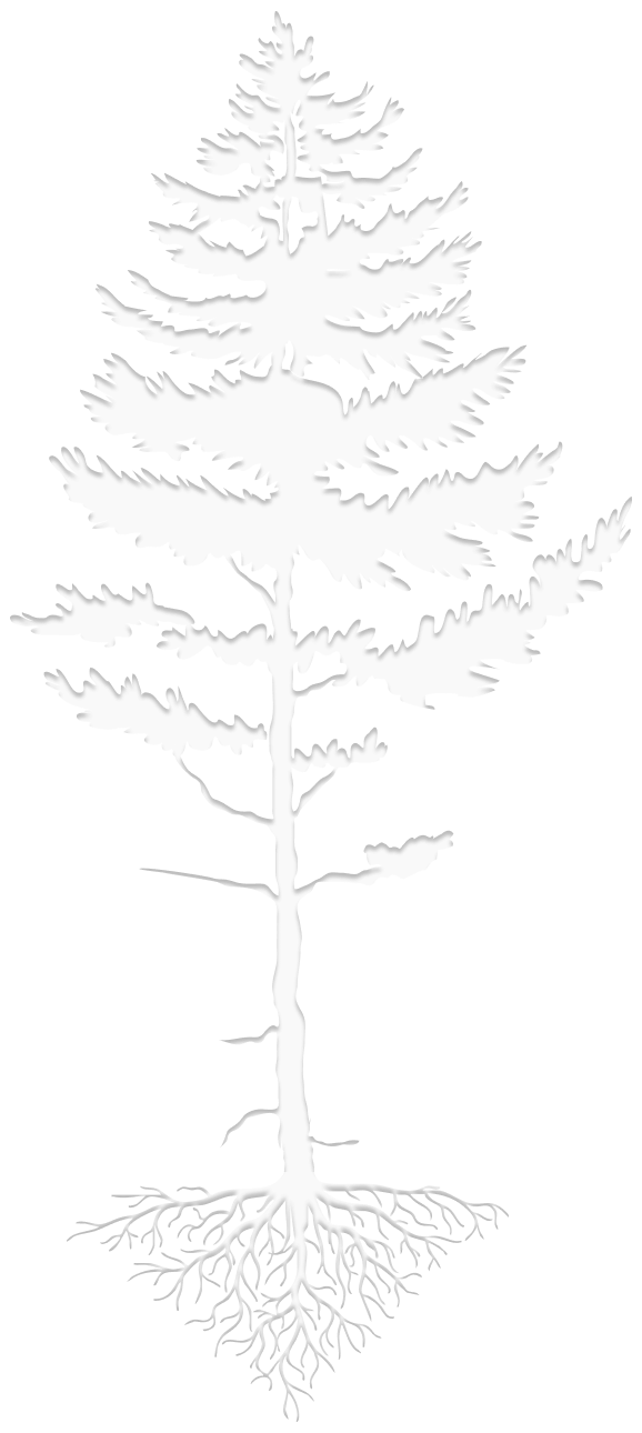 tree 1c